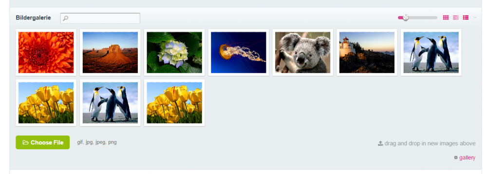 2016-07-21 18_01_44-Edit Page_ Testnews • mustangs2016.dev.png