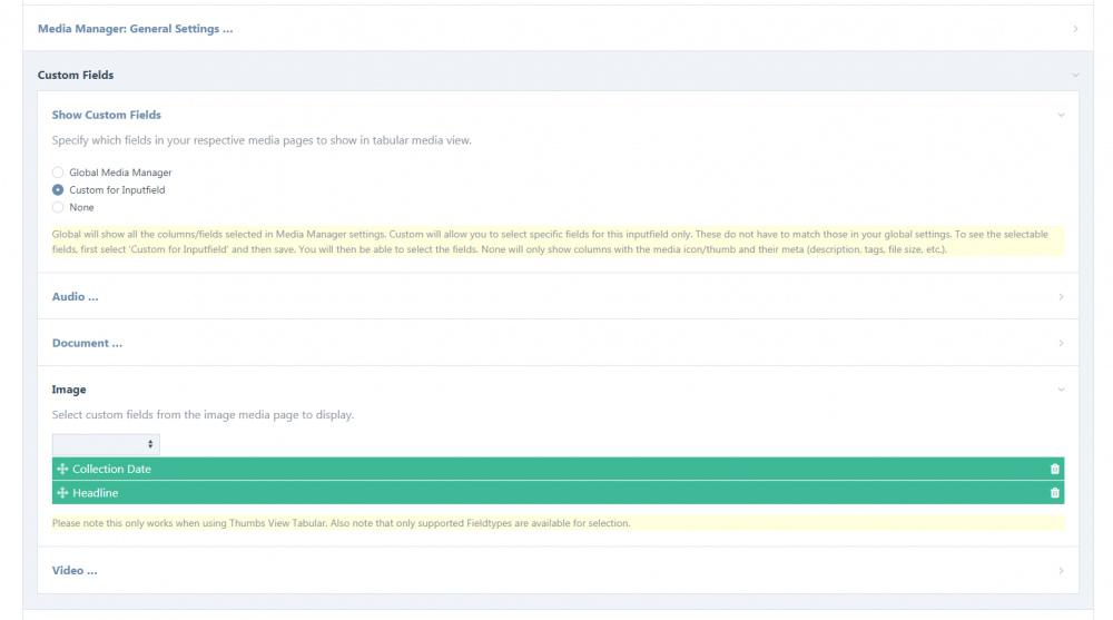 media-manager-field-settings-2.thumb.png.30d210db2fdf1f8de6e5b026e2b44107.png