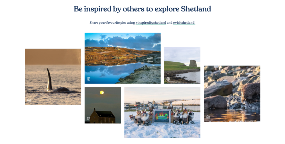 shetland-org_instagram.thumb.png.1c24cb0f12a000555fe8ad5a7b3c4296.png