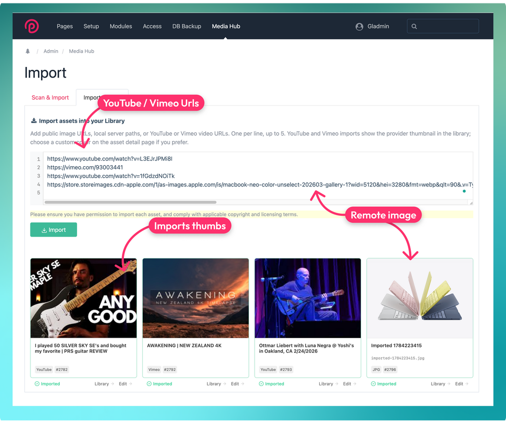 screenshot-mediahub-1_19.50-import.thumb.png.4f9a5e6f5a5b1a9e70a85b37fb08a9fb.png