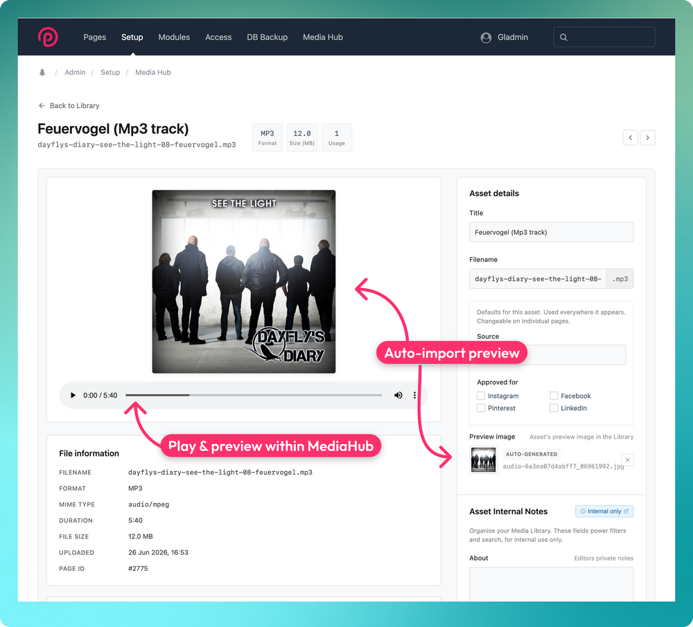 screenshot-mediahub-1_19.50-preview-audio.thumb.png.64cc29a59f8d306b4e0a56f550f140c2.png